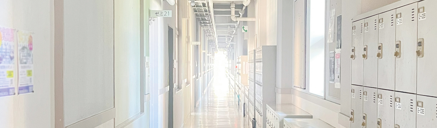 データサイエンス学部